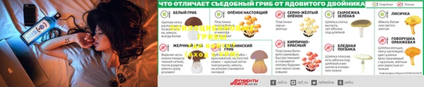 Альфа ПВП Няндома